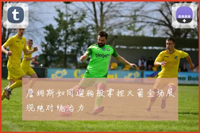 詹姆斯如同遛狗般掌控火箭全场展现绝对统治力